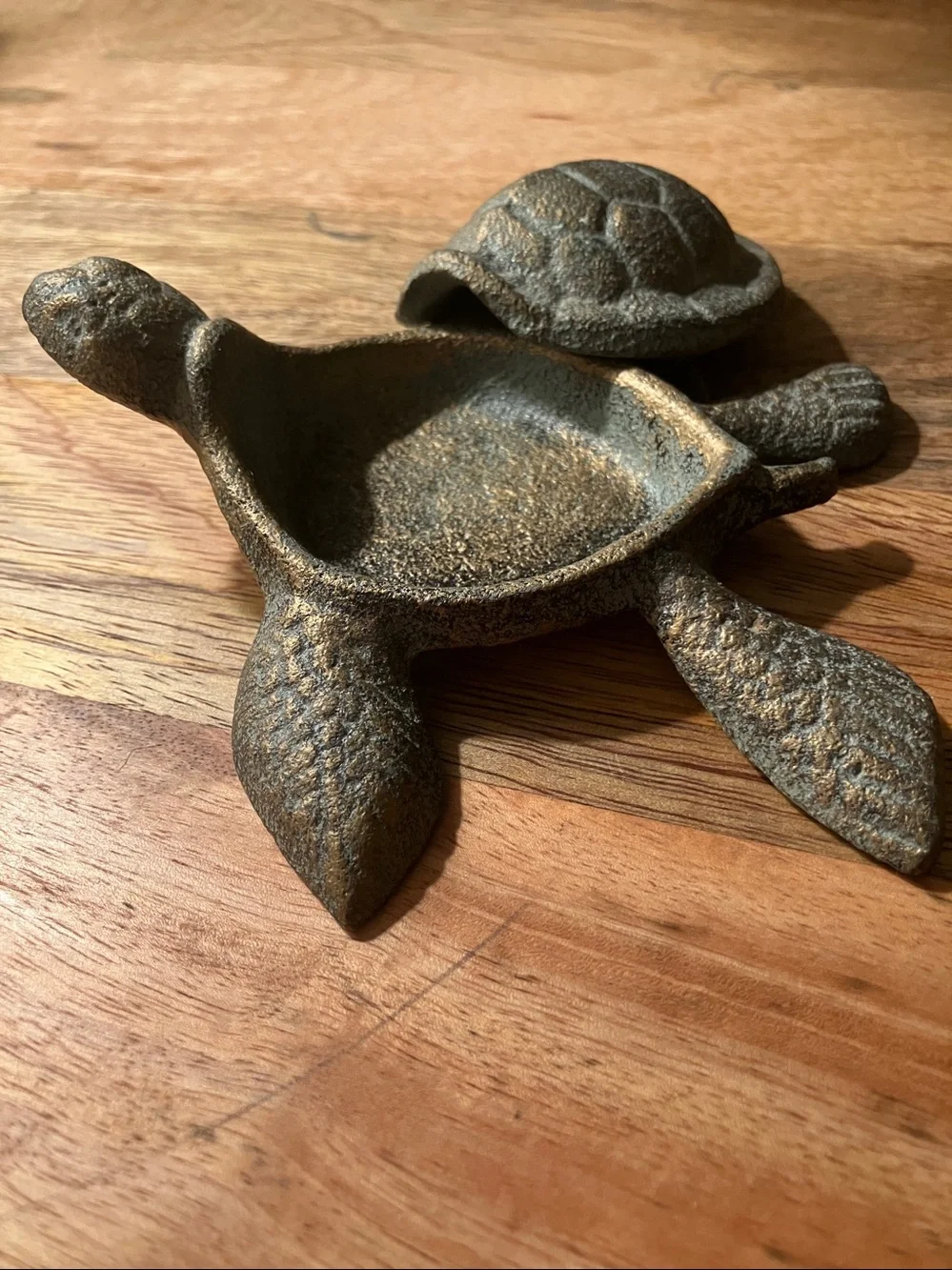 Sea turtle trinket holder